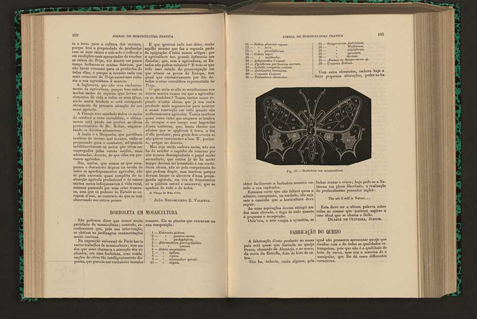 Jornal de horticultura prtica XVI 70