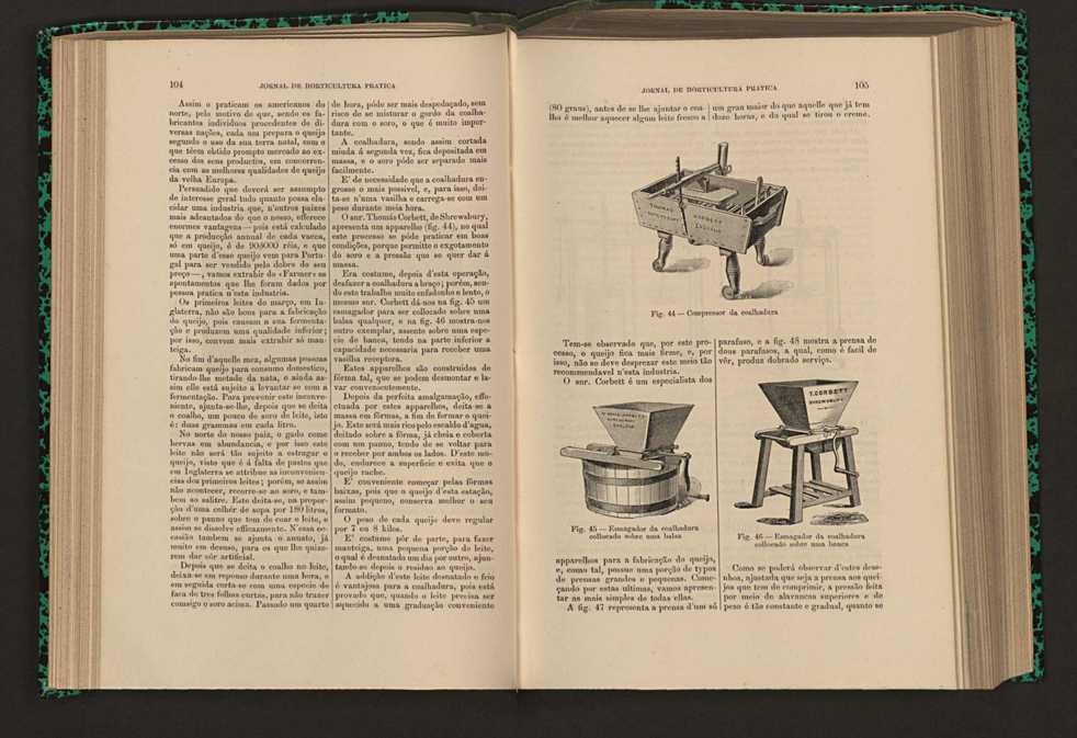 Jornal de horticultura prtica XVI 71