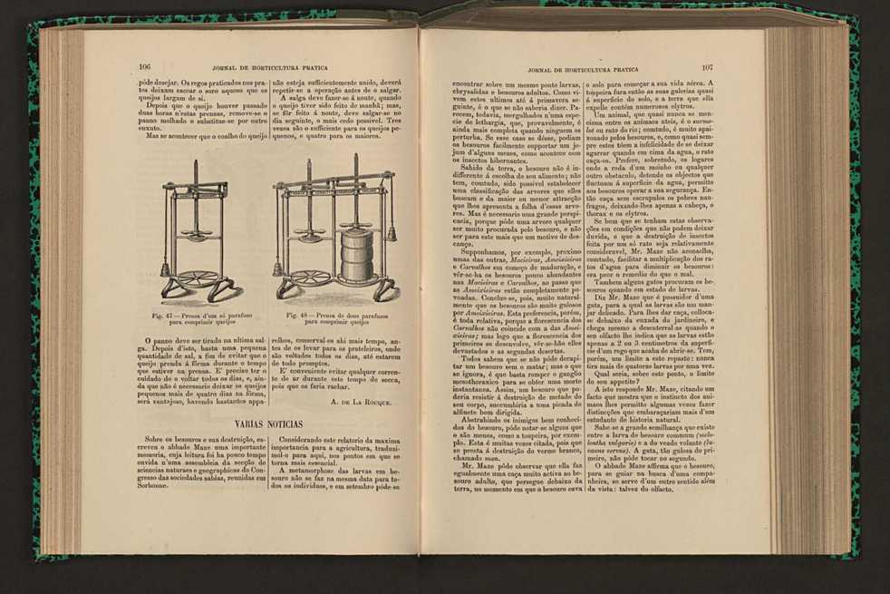 Jornal de horticultura prtica XVI 72