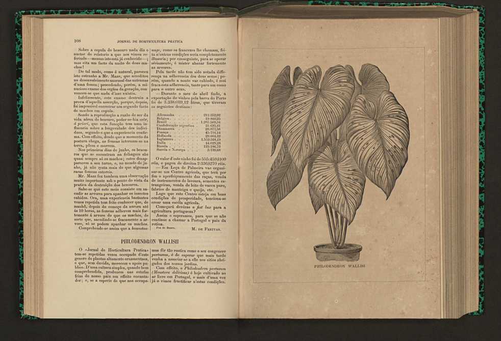 Jornal de horticultura prtica XVI 73