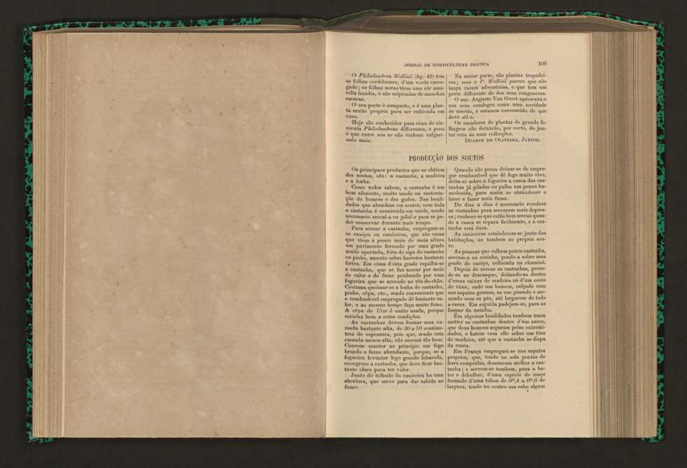 Jornal de horticultura prtica XVI 74