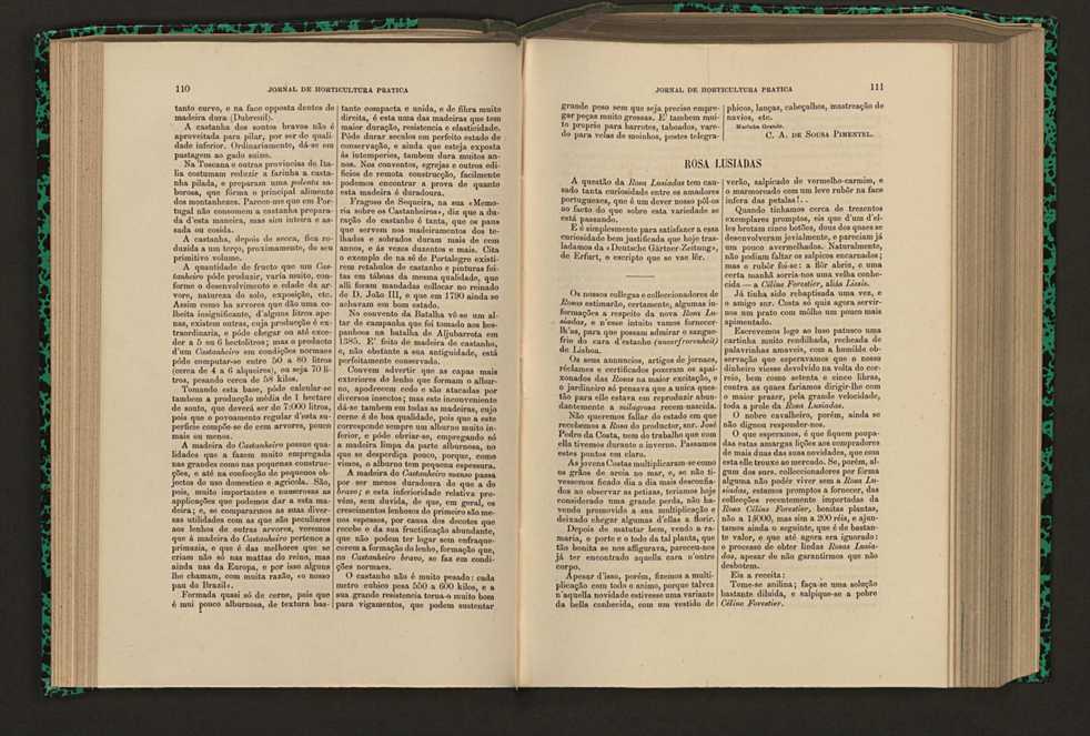 Jornal de horticultura prtica XVI 75