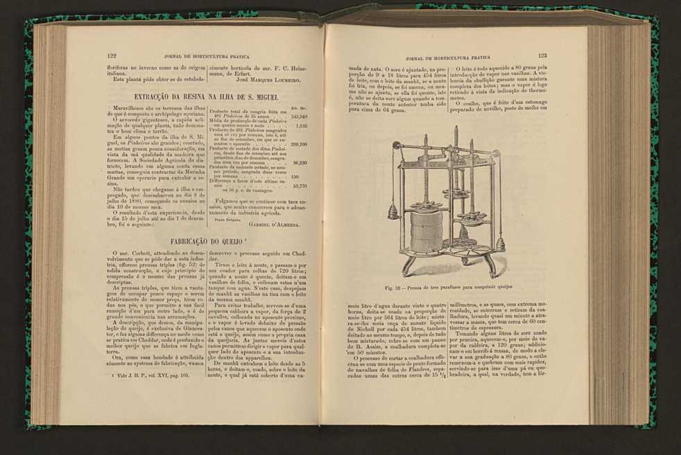 Jornal de horticultura prtica XVI 81