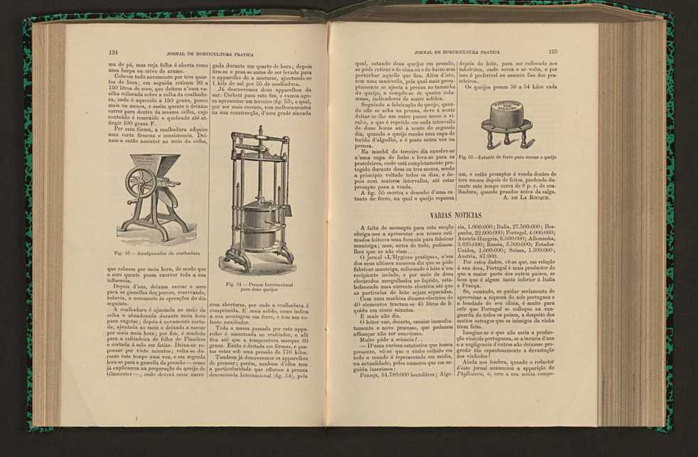 Jornal de horticultura prtica XVI 82