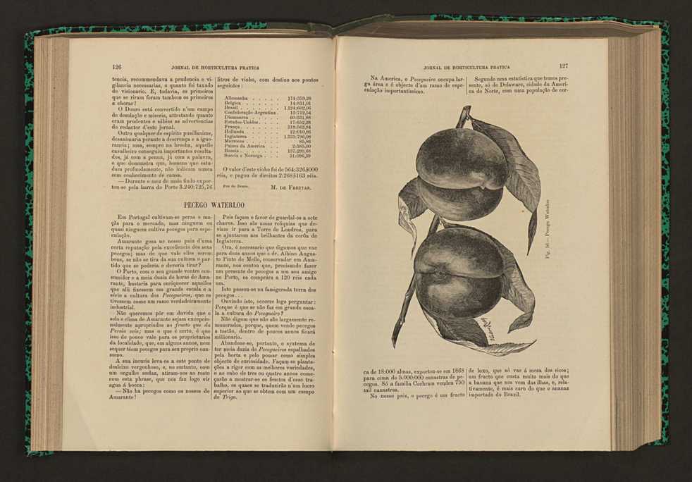 Jornal de horticultura prtica XVI 83