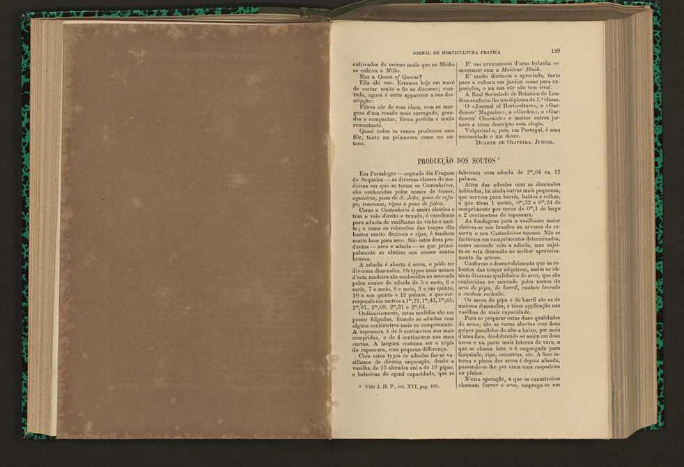 Jornal de horticultura prtica XVI 85