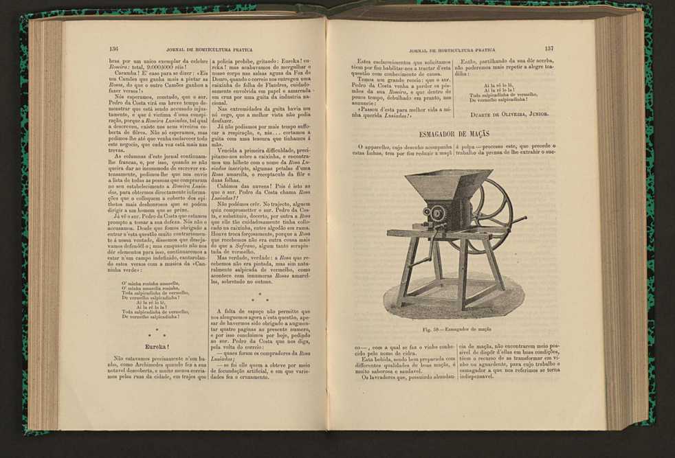 Jornal de horticultura prtica XVI 89