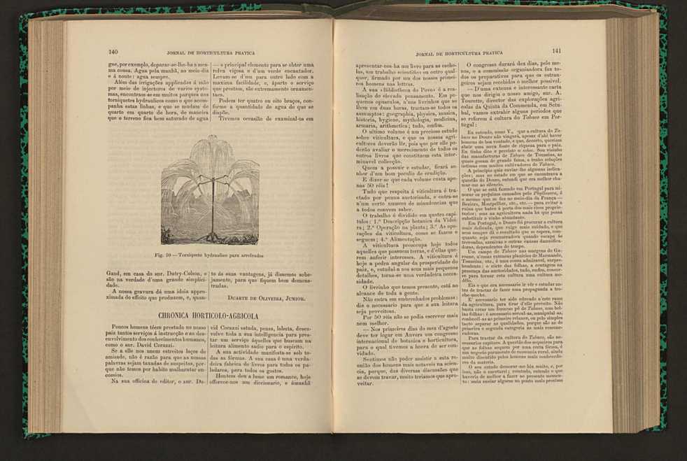 Jornal de horticultura prtica XVI 91