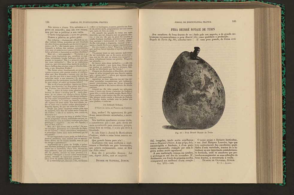 Jornal de horticultura prtica XVI 93