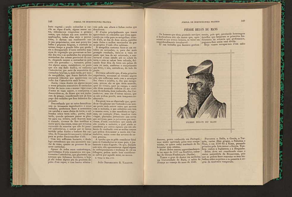 Jornal de horticultura prtica XVI 95