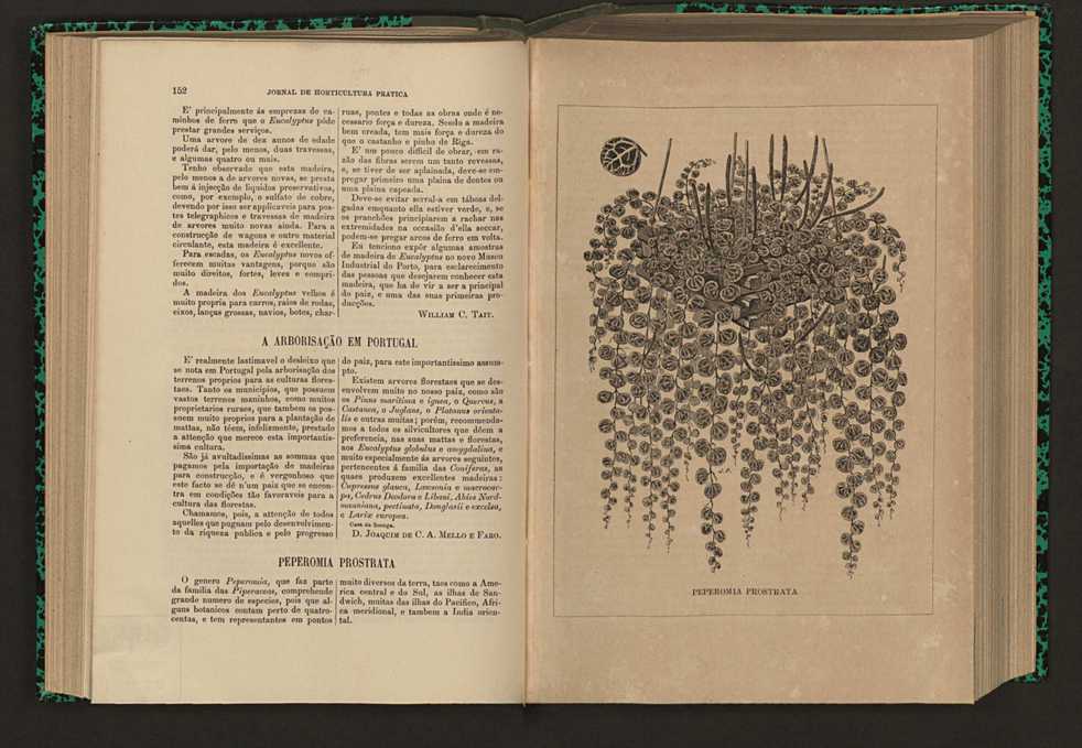 Jornal de horticultura prtica XVI 97