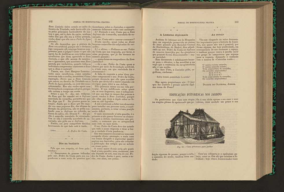 Jornal de horticultura prtica XVI 103