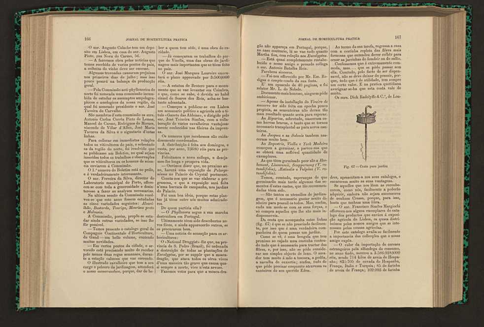 Jornal de horticultura pr�tica XVI 105