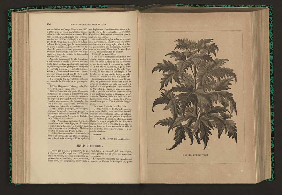 Jornal de horticultura pr�tica XVI 110