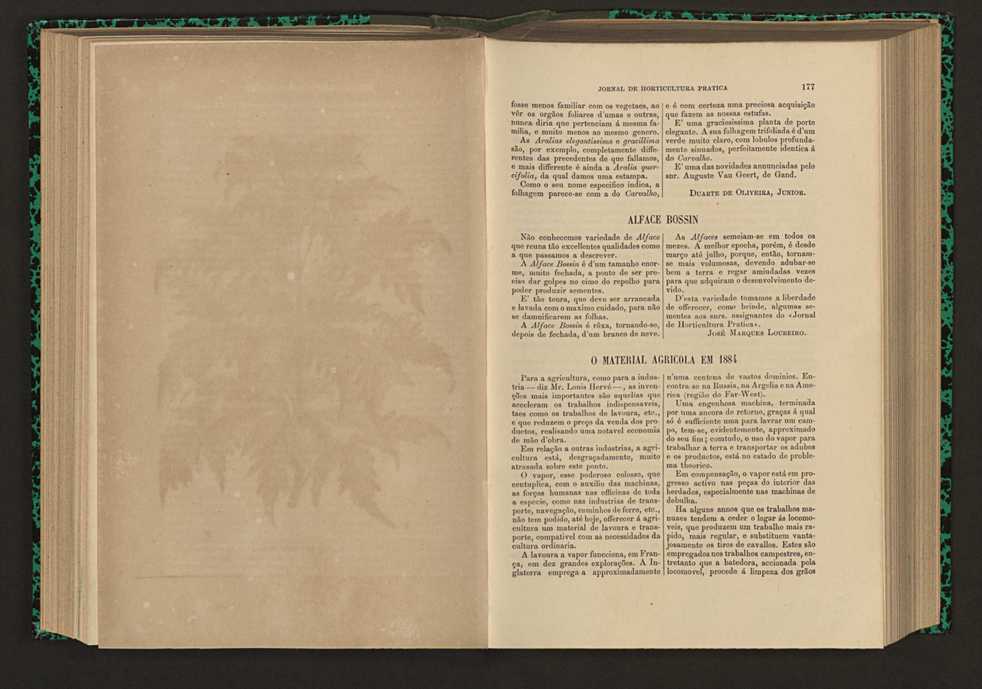 Jornal de horticultura prtica XVI 111