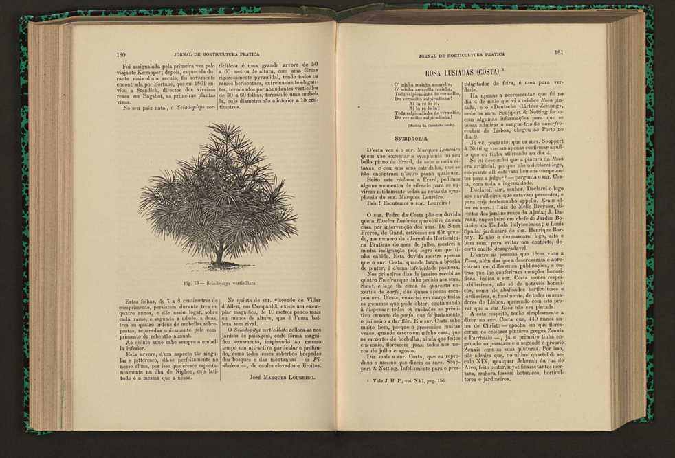 Jornal de horticultura prtica XVI 113