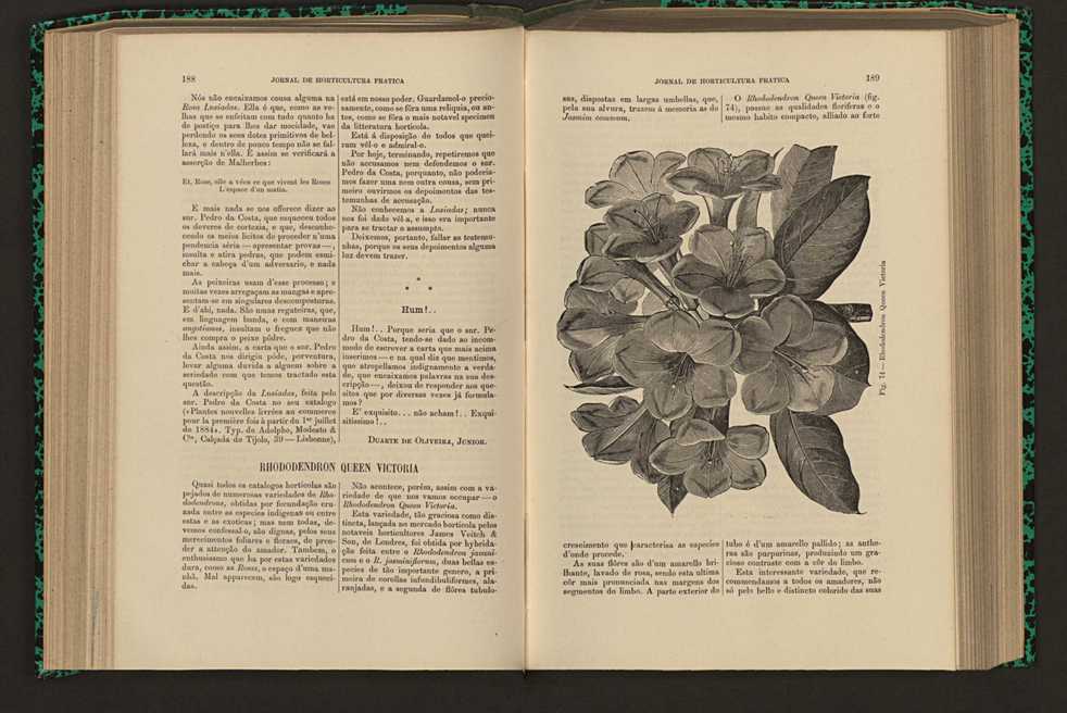 Jornal de horticultura pr�tica XVI 117