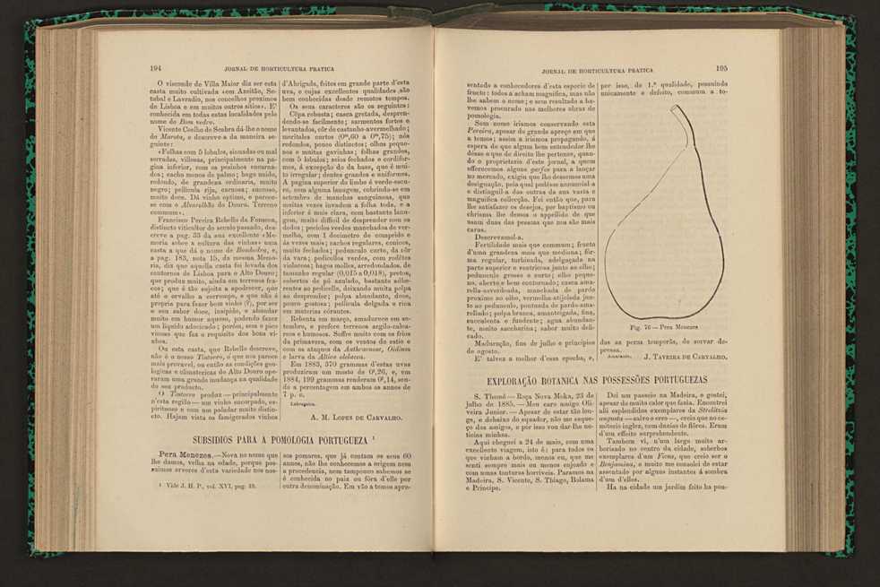 Jornal de horticultura prtica XVI 120