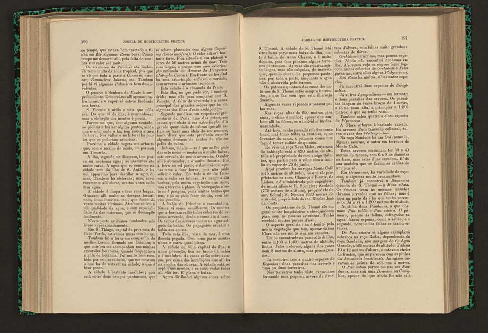 Jornal de horticultura prtica XVI 121