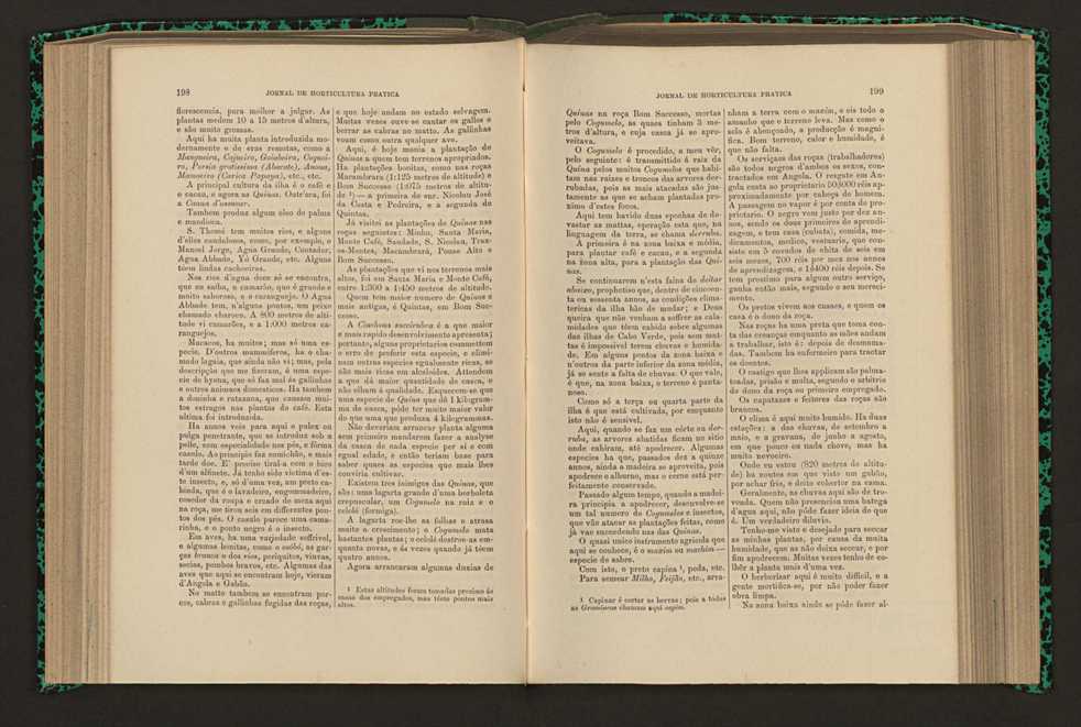Jornal de horticultura prtica XVI 122