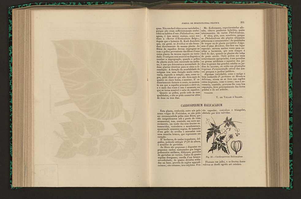Jornal de horticultura prtica XVI 124