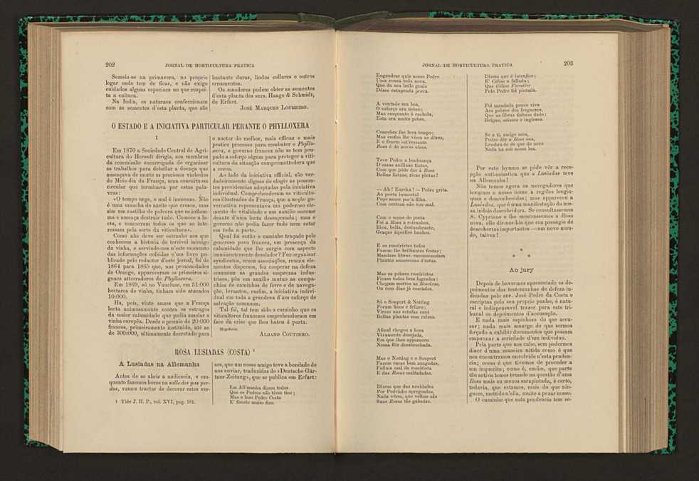 Jornal de horticultura prtica XVI 125