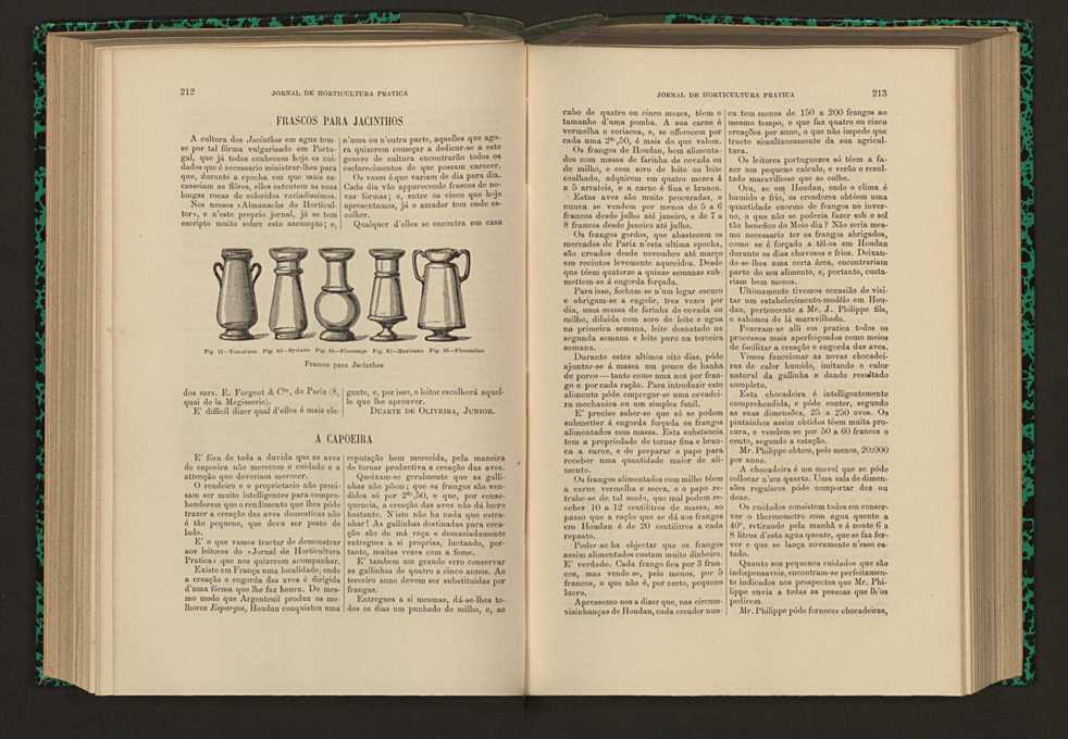 Jornal de horticultura prtica XVI 130