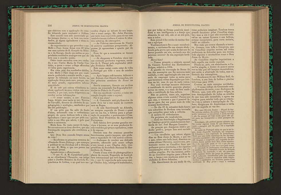 Jornal de horticultura prtica XVI 132