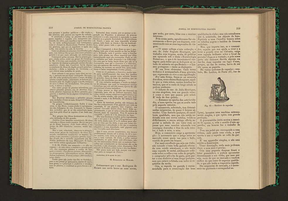 Jornal de horticultura prtica XVI 133