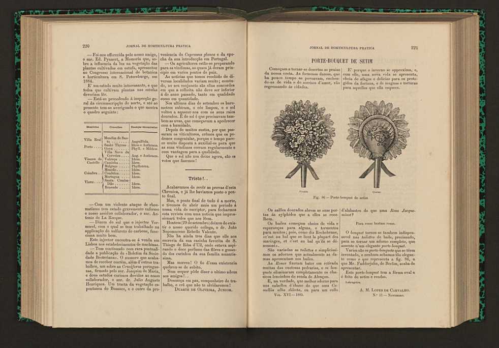 Jornal de horticultura prtica XVI 134