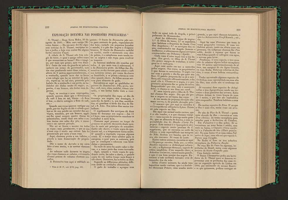 Jornal de horticultura prtica XVI 135