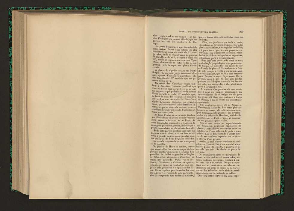 Jornal de horticultura prtica XVI 140