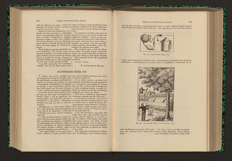 Jornal de horticultura prtica XVI 141