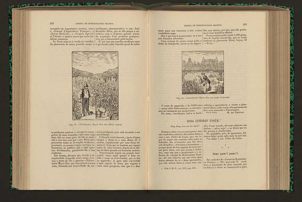 Jornal de horticultura prtica XVI 142