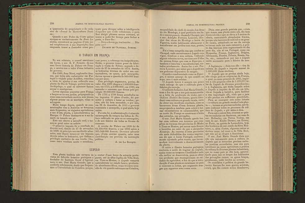 Jornal de horticultura prtica XVI 145