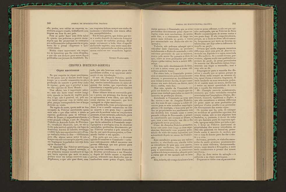 Jornal de horticultura prtica XVI 146