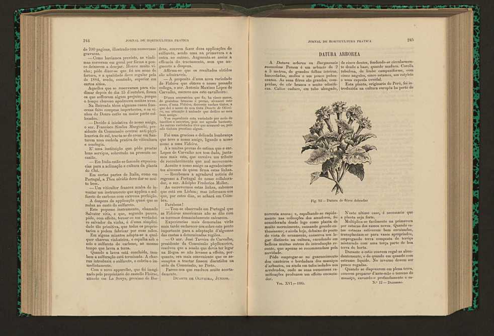 Jornal de horticultura prtica XVI 148