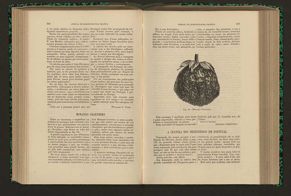 Jornal de horticultura prtica XVI 150