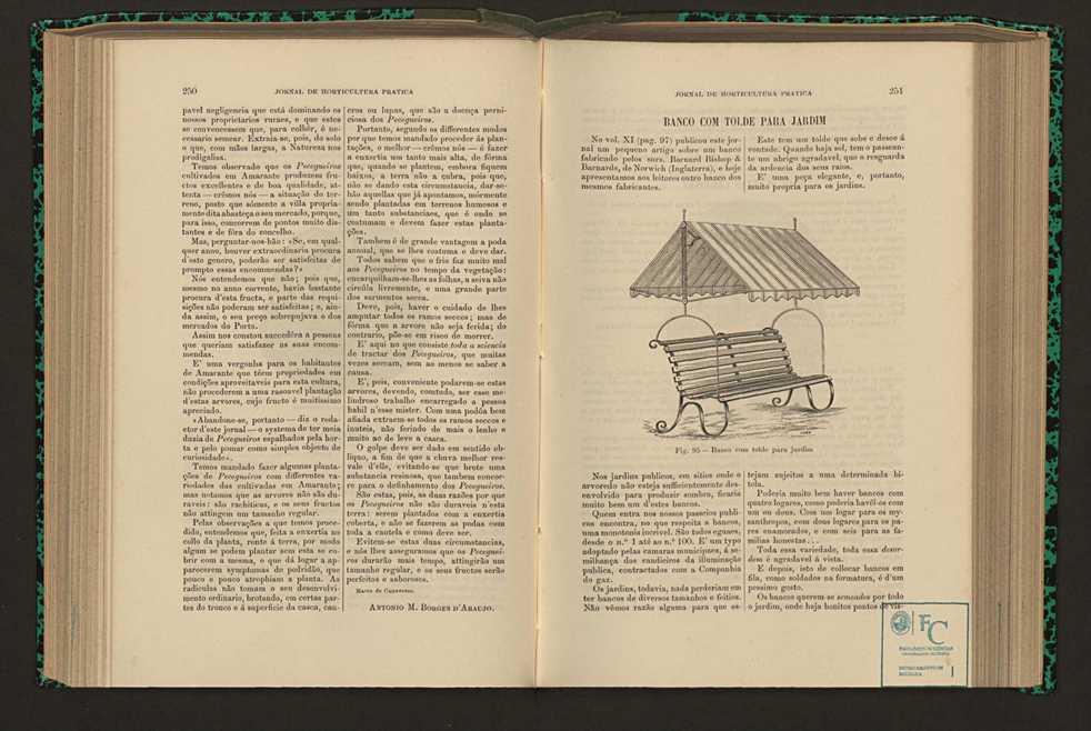 Jornal de horticultura prtica XVI 151