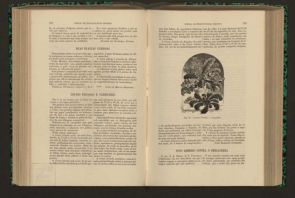 Jornal de horticultura prtica XVI 152