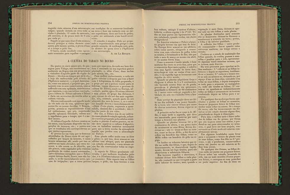 Jornal de horticultura prtica XVI 153