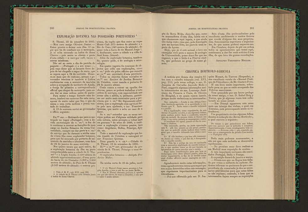 Jornal de horticultura prtica XVI 156