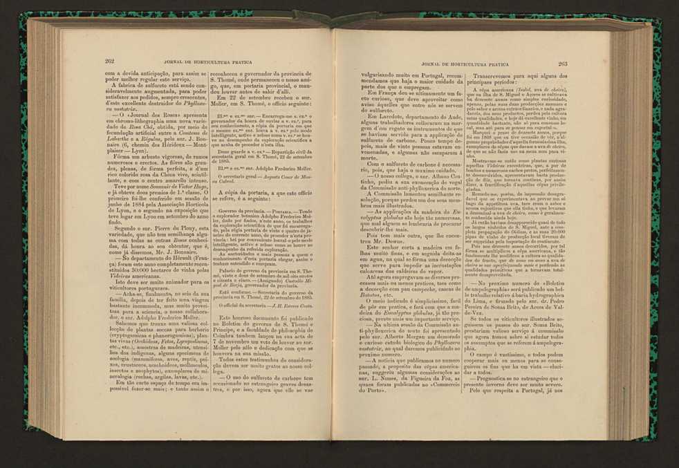 Jornal de horticultura prtica XVI 157