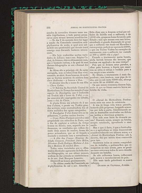Jornal de horticultura prtica XVI 158