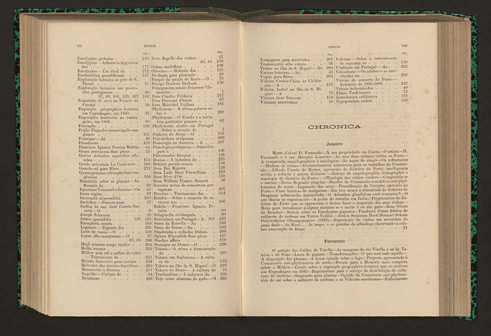 Jornal de horticultura prtica XVII 7