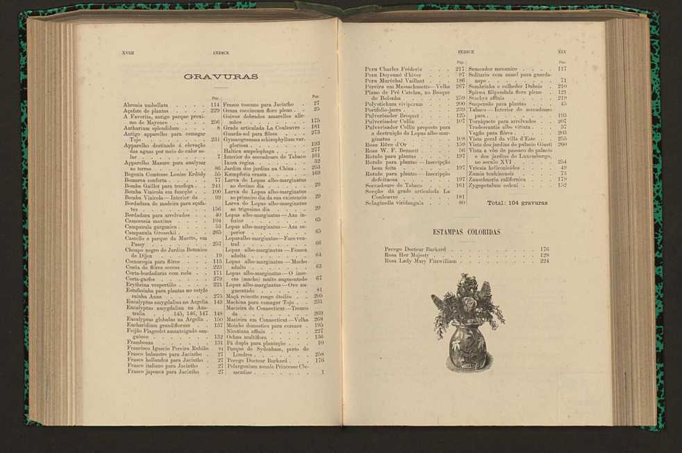 Jornal de horticultura pr�tica XVII 10