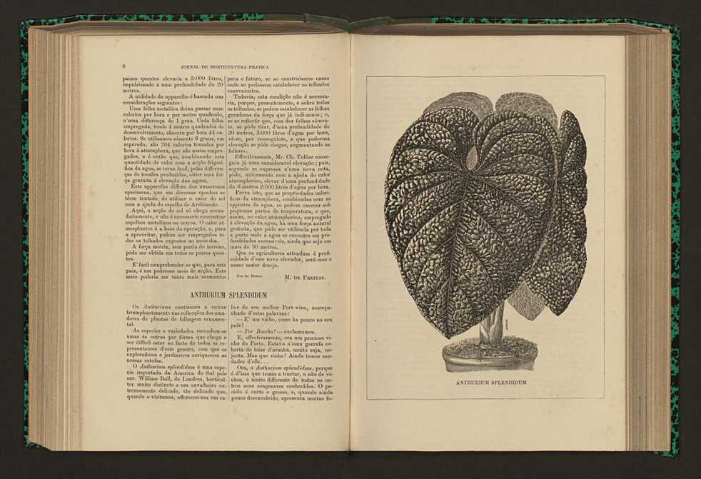 Jornal de horticultura prtica XVII 15