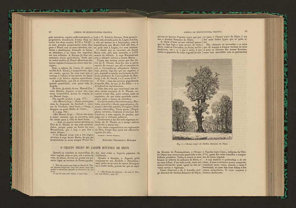 Jornal de horticultura prtica XVII 21