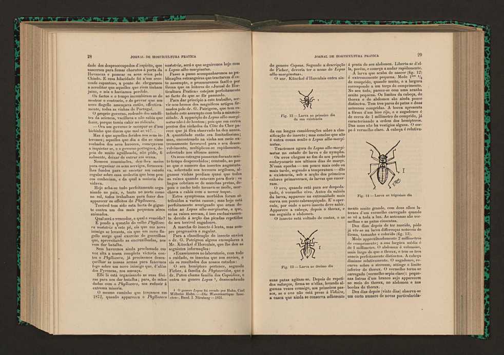 Jornal de horticultura prtica XVII 26