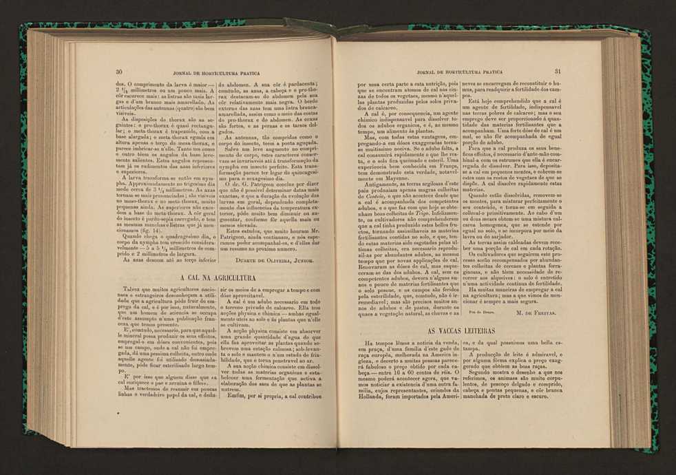 Jornal de horticultura prtica XVII 27